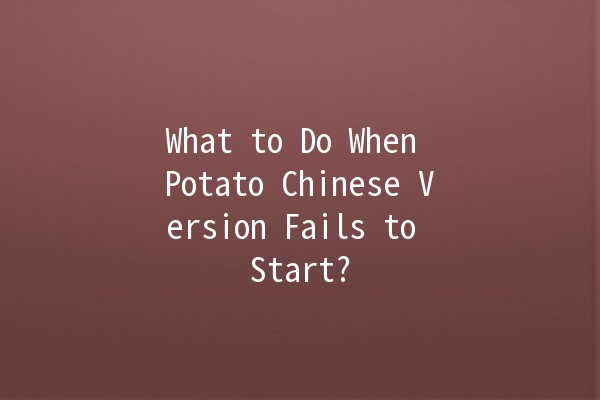 What to Do When Potato Chinese Version Fails to Start? 🥔💻