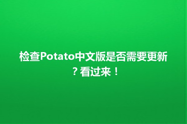 🍟 检查Potato中文版是否需要更新？看过来！