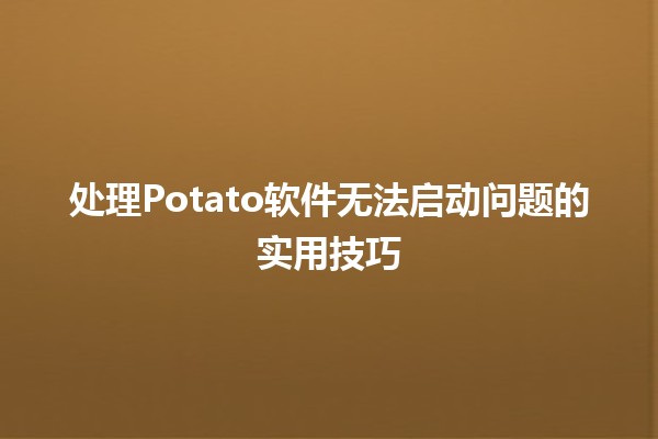 处理Potato软件无法启动问题的实用技巧🛠️🖥️