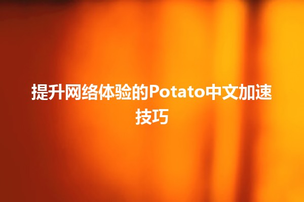 提升网络体验的Potato中文加速技巧🚀🚀