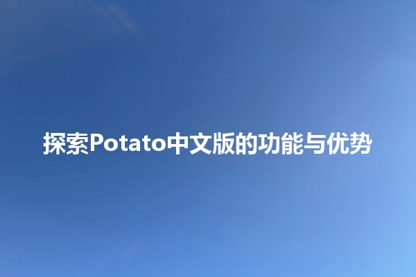 🍟 探索Potato中文版的功能与优势