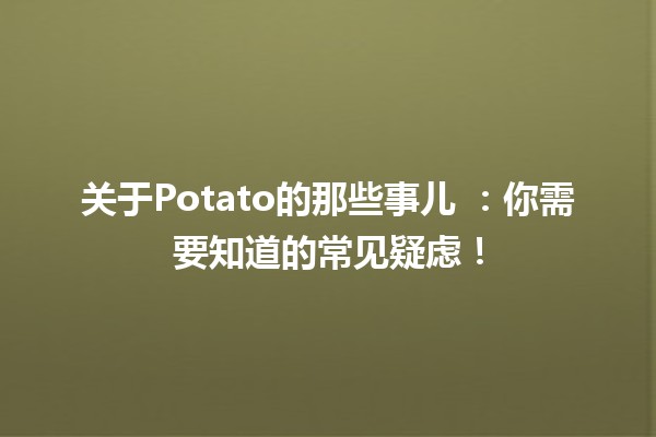 关于Potato的那些事儿 🥔：你需要知道的常见疑虑！