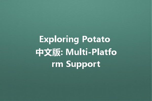 Exploring Potato 中文版: Multi-Platform Support 🌐🥔