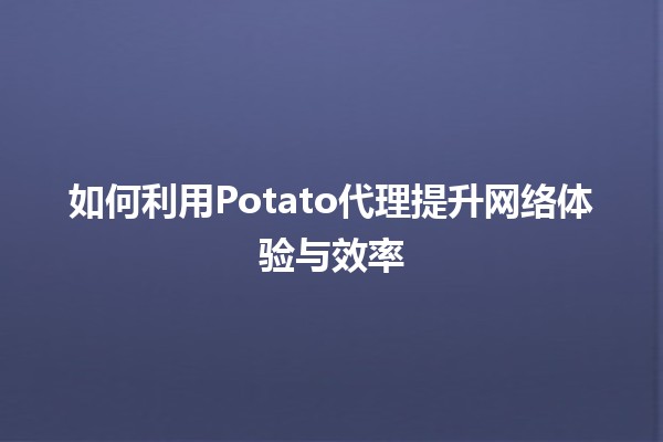 🍟 如何利用Potato代理提升网络体验与效率 🚀