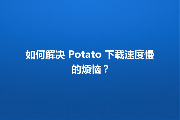 🚀 如何解决 Potato 下载速度慢的烦恼？