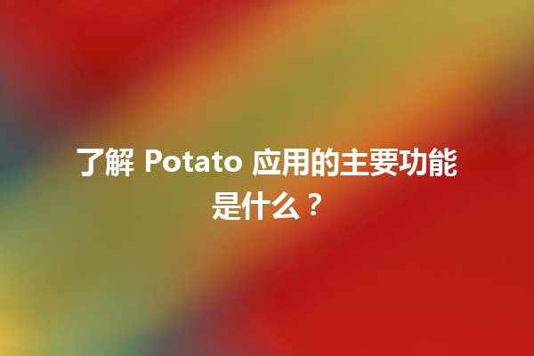 了解 Potato 应用的主要功能是什么？🔍🥔