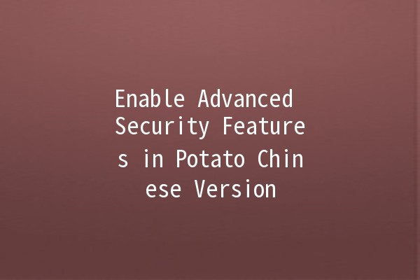 Enable Advanced Security Features in Potato Chinese Version 🚀🔒