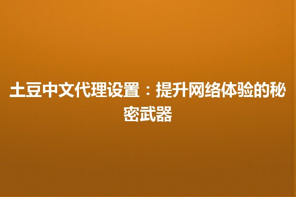 土豆中文代理设置📶：提升网络体验的秘密武器