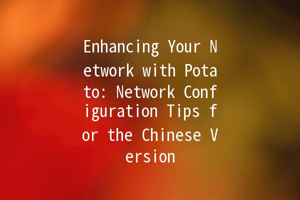 Enhancing Your Network with Potato: Network Configuration Tips for the Chinese Version 🌐🥔