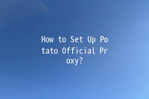 How to Set Up Potato Official Proxy? 🍟💻