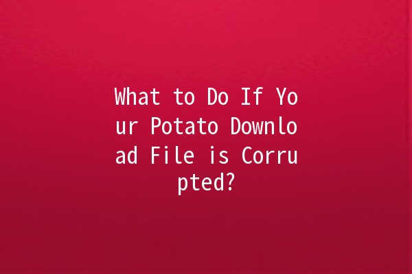 What to Do If Your Potato Download File is Corrupted? 🥔💻