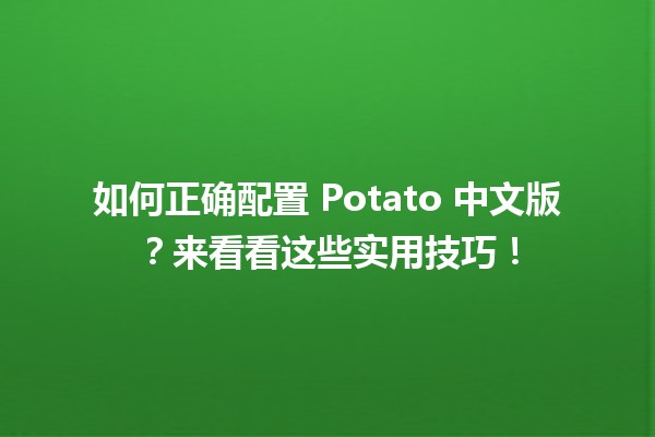 🍟 如何正确配置 Potato 中文版？来看看这些实用技巧！