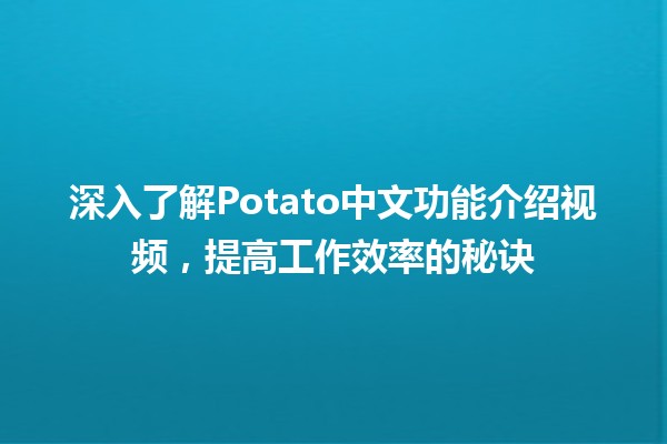 🌟 深入了解Potato中文功能介绍视频，提高工作效率的秘诀