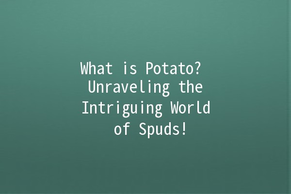 What is Potato? 🥔 Unraveling the Intriguing World of Spuds!