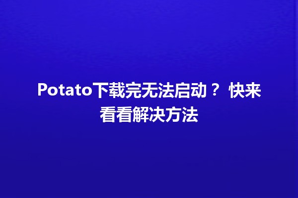 Potato下载完无法启动？💻🛠️ 快来看看解决方法