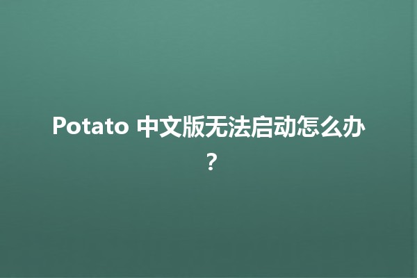 Potato 中文版无法启动怎么办？🔧💻