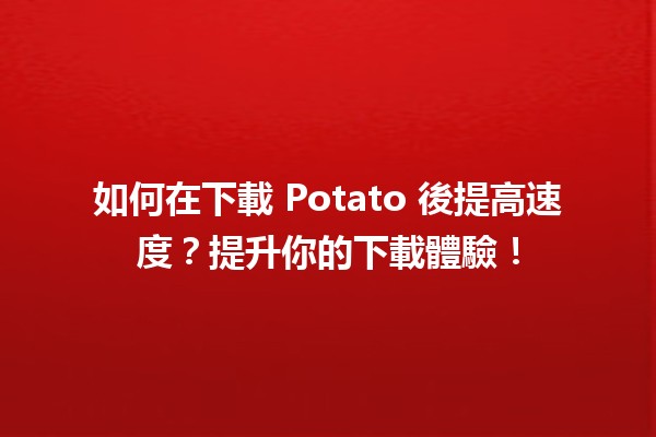 🚀 如何在下載 Potato 後提高速度？提升你的下載體驗！