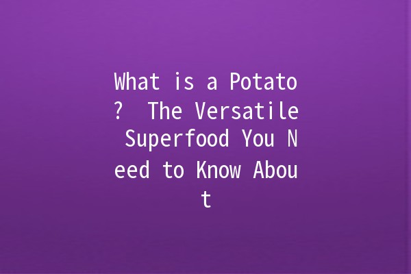 What is a Potato? 🥔 The Versatile Superfood You Need to Know About