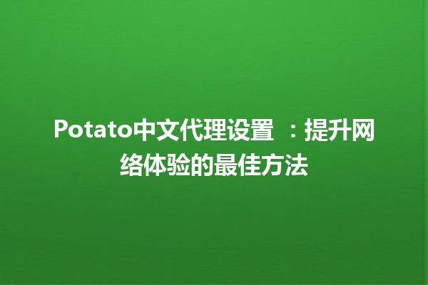 Potato中文代理设置 🍟：提升网络体验的最佳方法