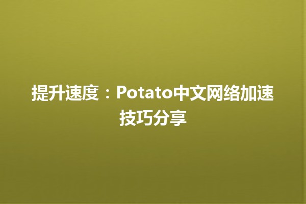 🚀 提升速度：Potato中文网络加速技巧分享