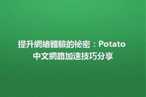 📡 提升網絡體驗的祕密：Potato 中文網路加速技巧分享 🥔