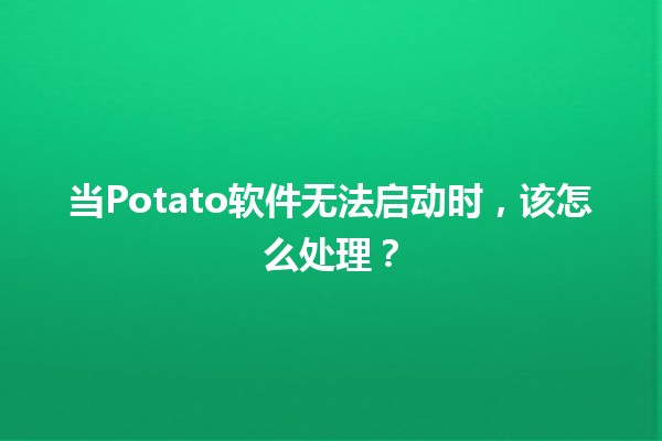 当Potato软件无法启动时，该怎么处理？🛠️💻