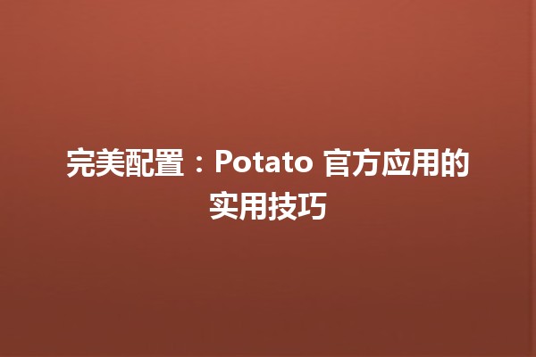 🍟 完美配置：Potato 官方应用的实用技巧 🚀