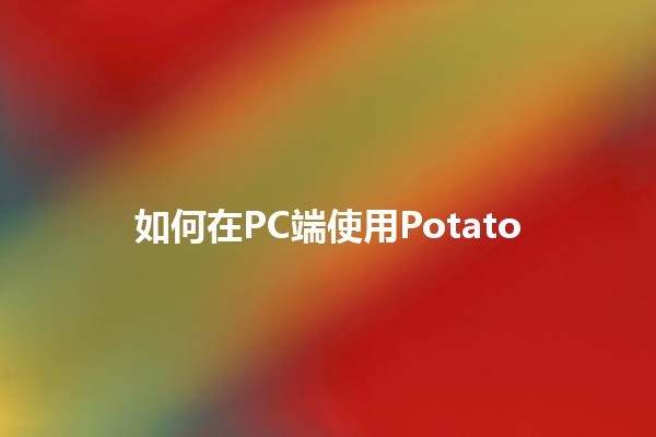 如何在PC端使用Potato 🌟