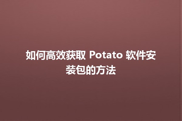 💾 如何高效获取 Potato 软件安装包的方法 💾