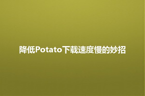 🍟 降低Potato下载速度慢的妙招🔥