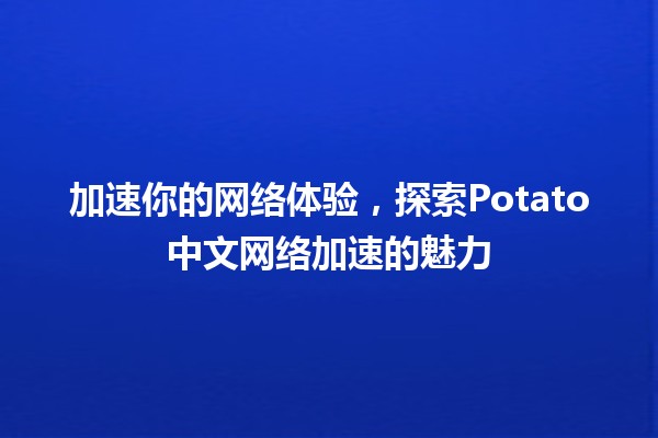 🥔 加速你的网络体验，探索Potato中文网络加速的魅力 ✨