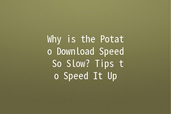 🥔 Why is the Potato Download Speed So Slow? Tips to Speed It Up ⚡